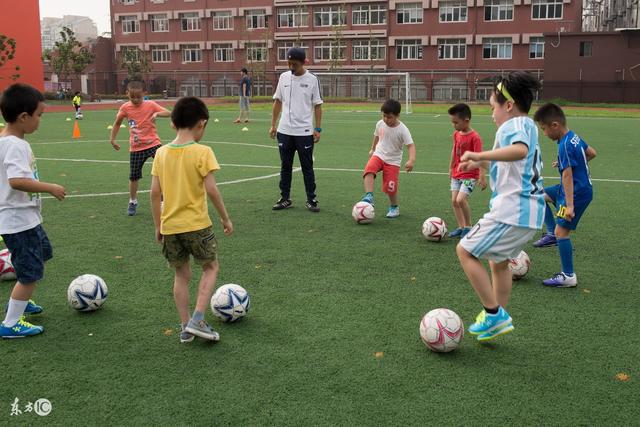 姚明：中国篮球需要学习日本篮球的经验